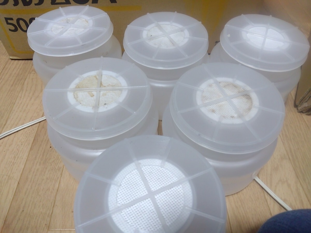 . нить бутылка 12 шт. комплект 