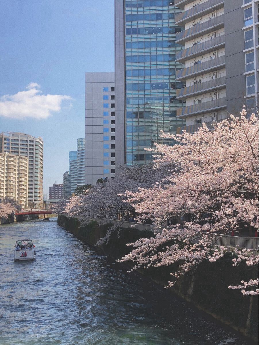 анонимность рассылка .. оценка изображение 11 анонимность рассылка .. оценка изображение 11