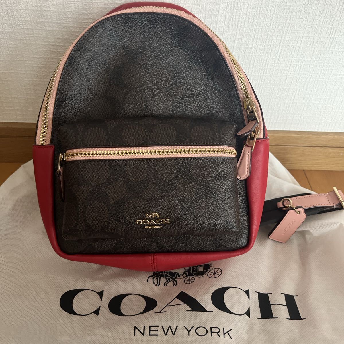 COACH シグネチャー バックパック