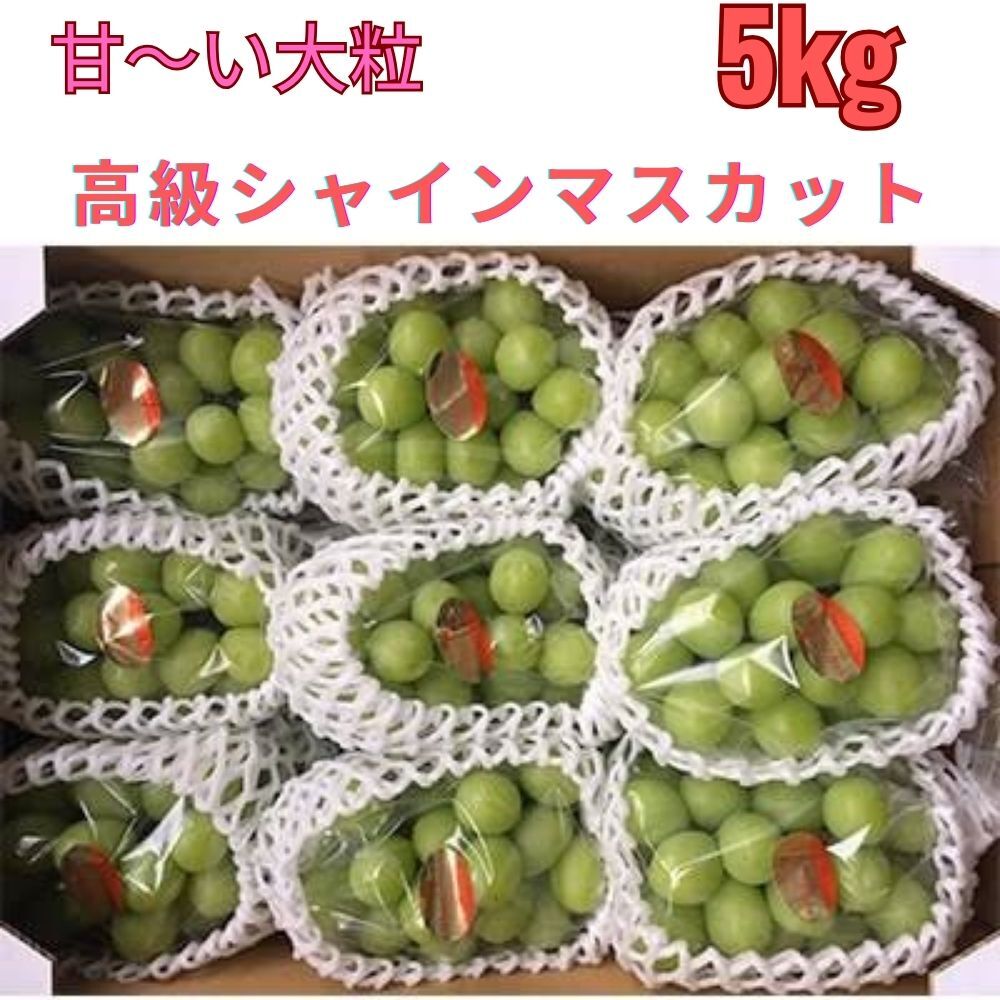 長(zhǎng)野県産【5kg】高級(jí)シャインマスカット 7～９房　大?！靖省?！糖度20~22度】1円～送料無(wú)料!　