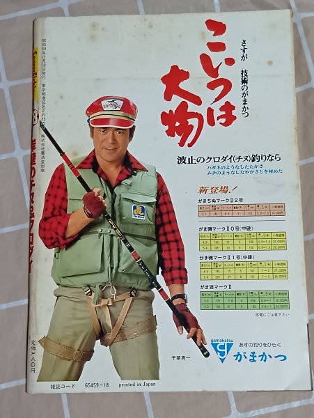 スポーツフィッシング No.18■岸壁のチヌ&クロダイ 廣済堂産報出版/昭和59年_画像8