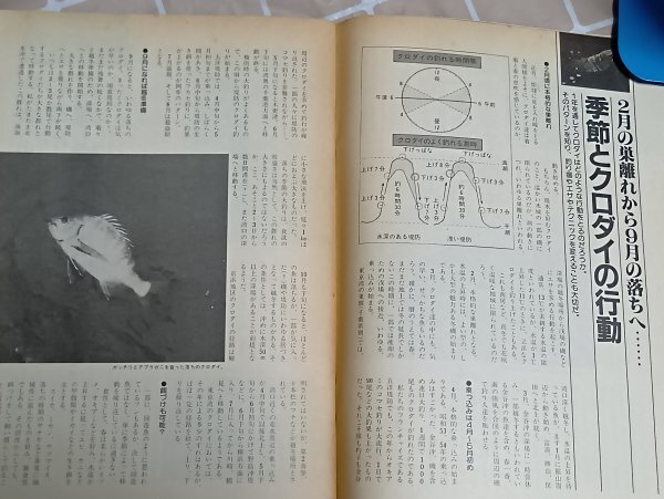 スポーツフィッシング No.18■岸壁のチヌ&クロダイ 廣済堂産報出版/昭和59年_画像4