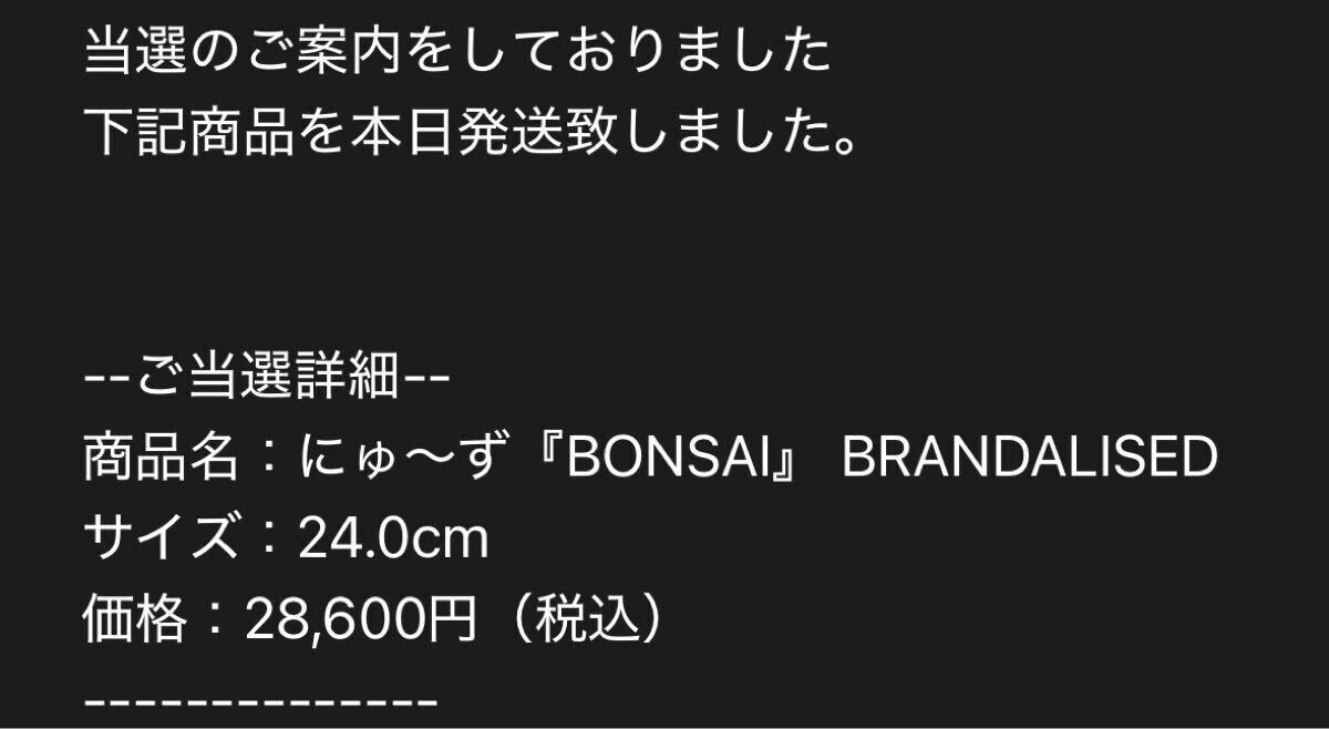 Banksyにゅ～ず BRANDALISED SANGACIO スニーカー_画像7