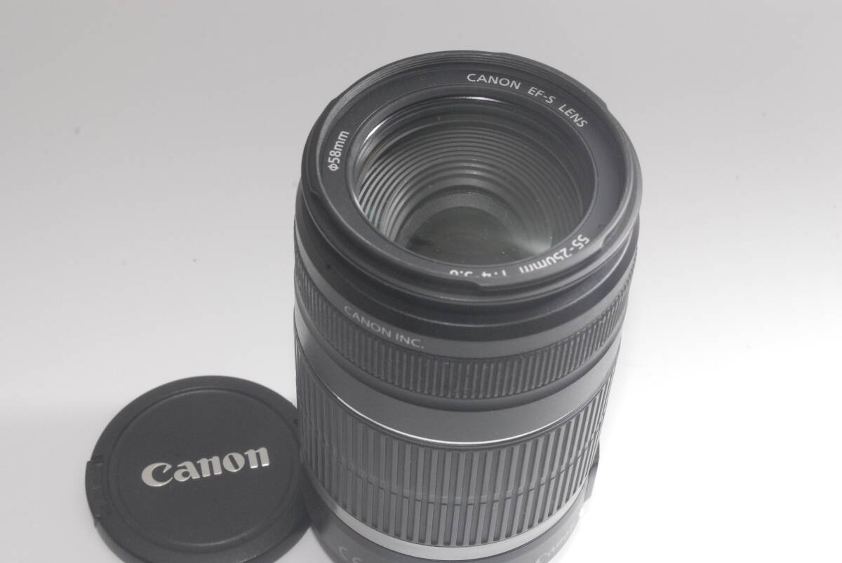 ★実用美品★ CANON キャノン EF-S LENS 55-250mm F4-5.6 ★動作OK★_画像10