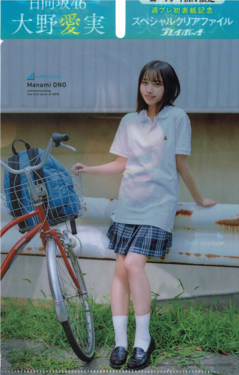 日向坂46　大野愛実　クリアファイル　週刊プレイボーイ44号　ローソン・HMV限定　大野愛実　両面クリアファイル_画像2