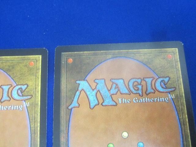 状態C トレカ MTG マジック:ザ・ギャザリング 英語版 UGL-88 森/Forest 3枚セットの画像10