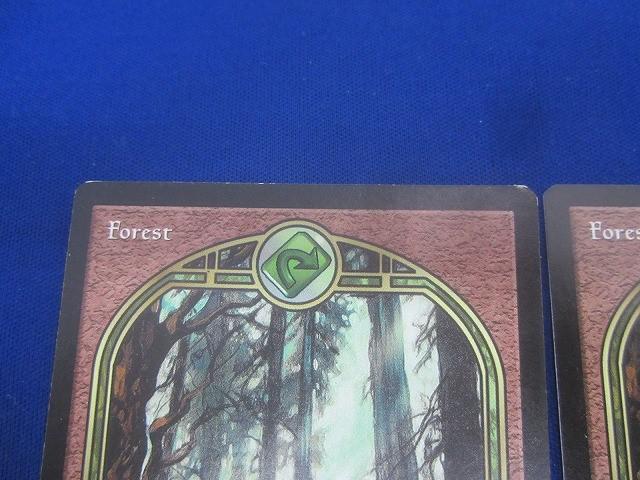 状態C トレカ MTG マジック:ザ・ギャザリング 英語版 UGL-88 森/Forest 3枚セットの画像7