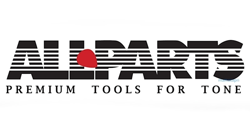 新品 Leo Quan Badass II Bass Bridge 4 String BB-3342-010レオ クアン バダス2 4弦 ベース ブリッジ クローム ALLPARTS オールパーツ_画像8