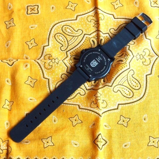 224.1円【稼働品】LUMINOX(ルミノックス) RECON　8800 8823_画像7