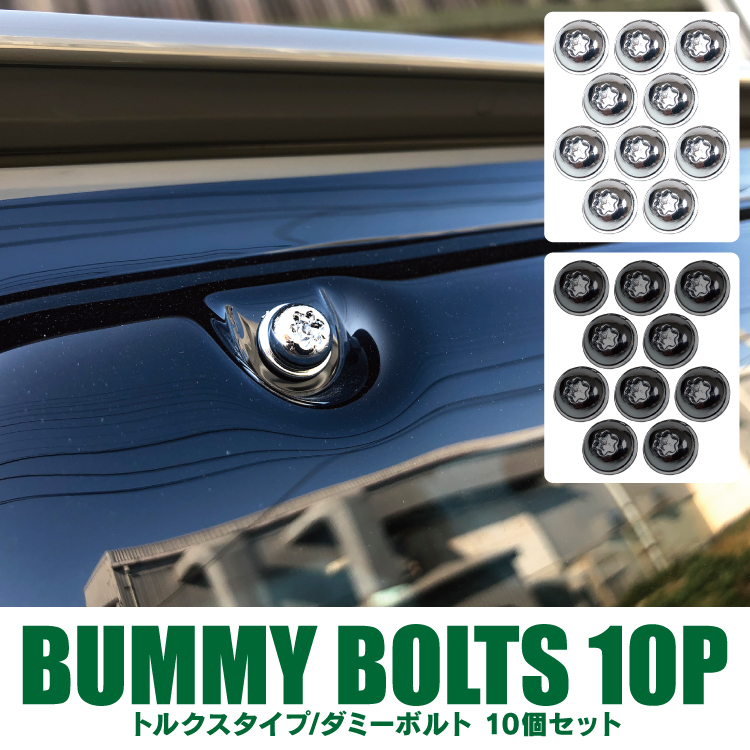 汎用 ダミーボルト 17mm シルバー 10個 クロームメッキ トルクス フェンダーガーニッシュ トルクスタイプ ネジ パーツ_画像2