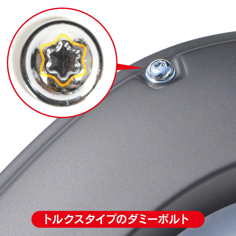 汎用 ダミーボルト 17mm シルバー 10個 クロームメッキ トルクス フェンダーガーニッシュ トルクスタイプ ネジ パーツ_画像5