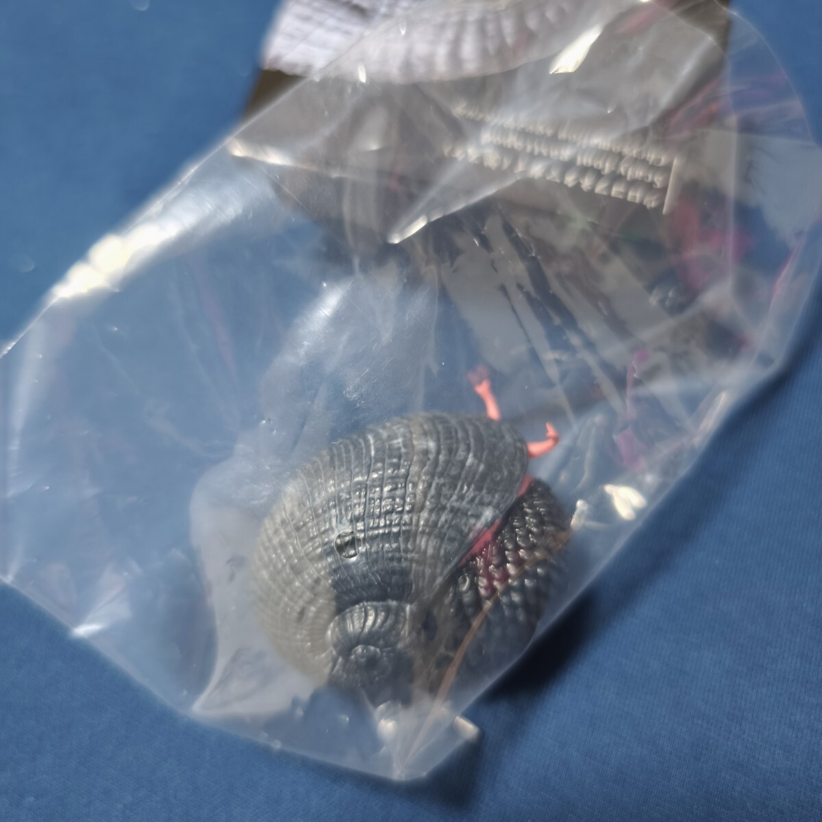 NTC 深海生物 ボールチェーン ／ ウロコフネタマガイ 黒スケ ／新品 ガチャ_画像3