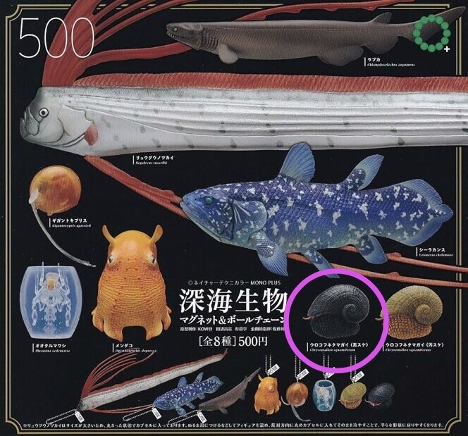 NTC 深海生物 ボールチェーン ／ ウロコフネタマガイ 黒スケ ／新品 ガチャ_画像1