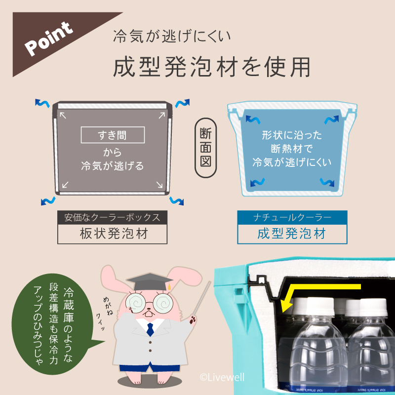クーラーボックス＋食器セット 小型 保冷 保温 おしゃれ 保冷バッグ お弁当 部活 ナチュールクーラー15L（アクアブルー）_画像5
