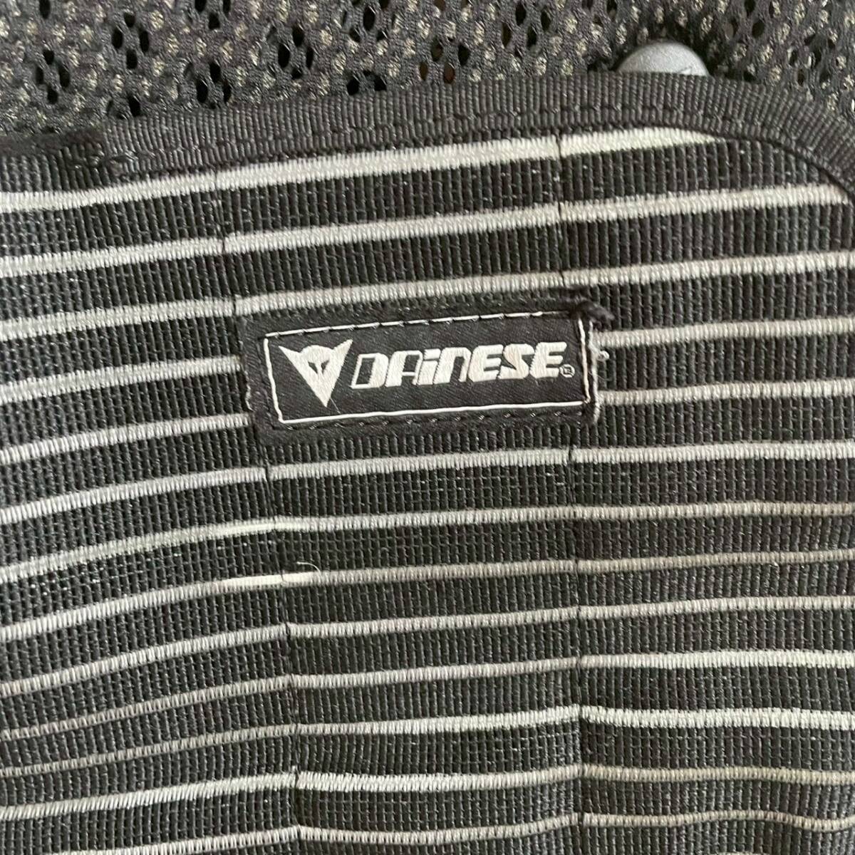 【お買得】 DAINESE ダイネーゼ 腰 プロテクター バイク モトクロス スノボー スケボー 保護 パッド_画像9