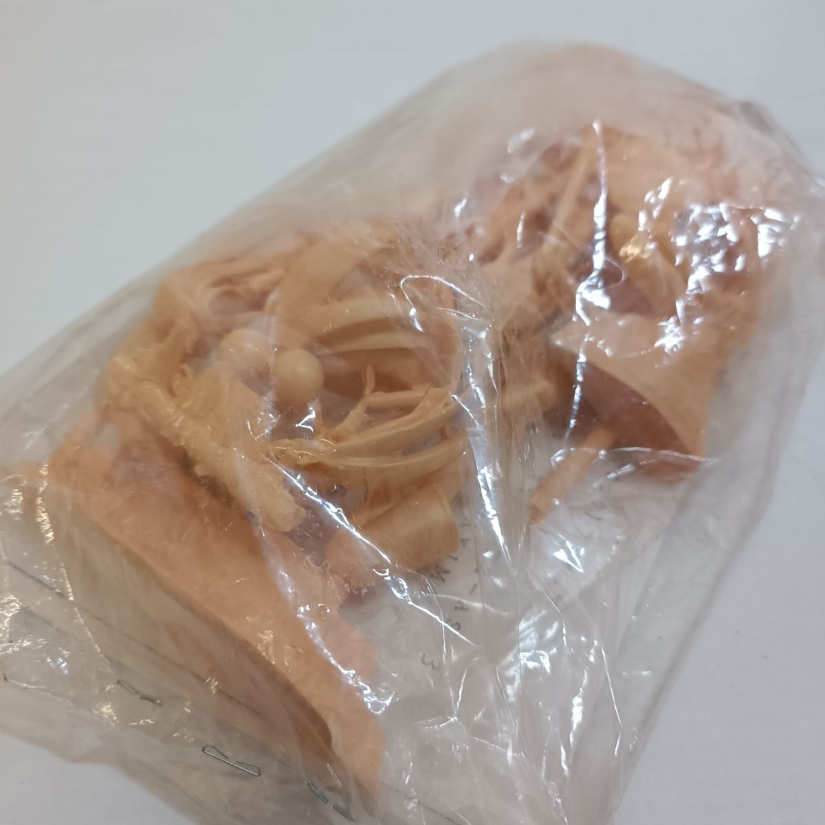 G446【60】1円～ 未組立 ガレージキット 1/8 あすか120％マキシマBURNING Fest. 豊田可莉奈 ガレキの画像3