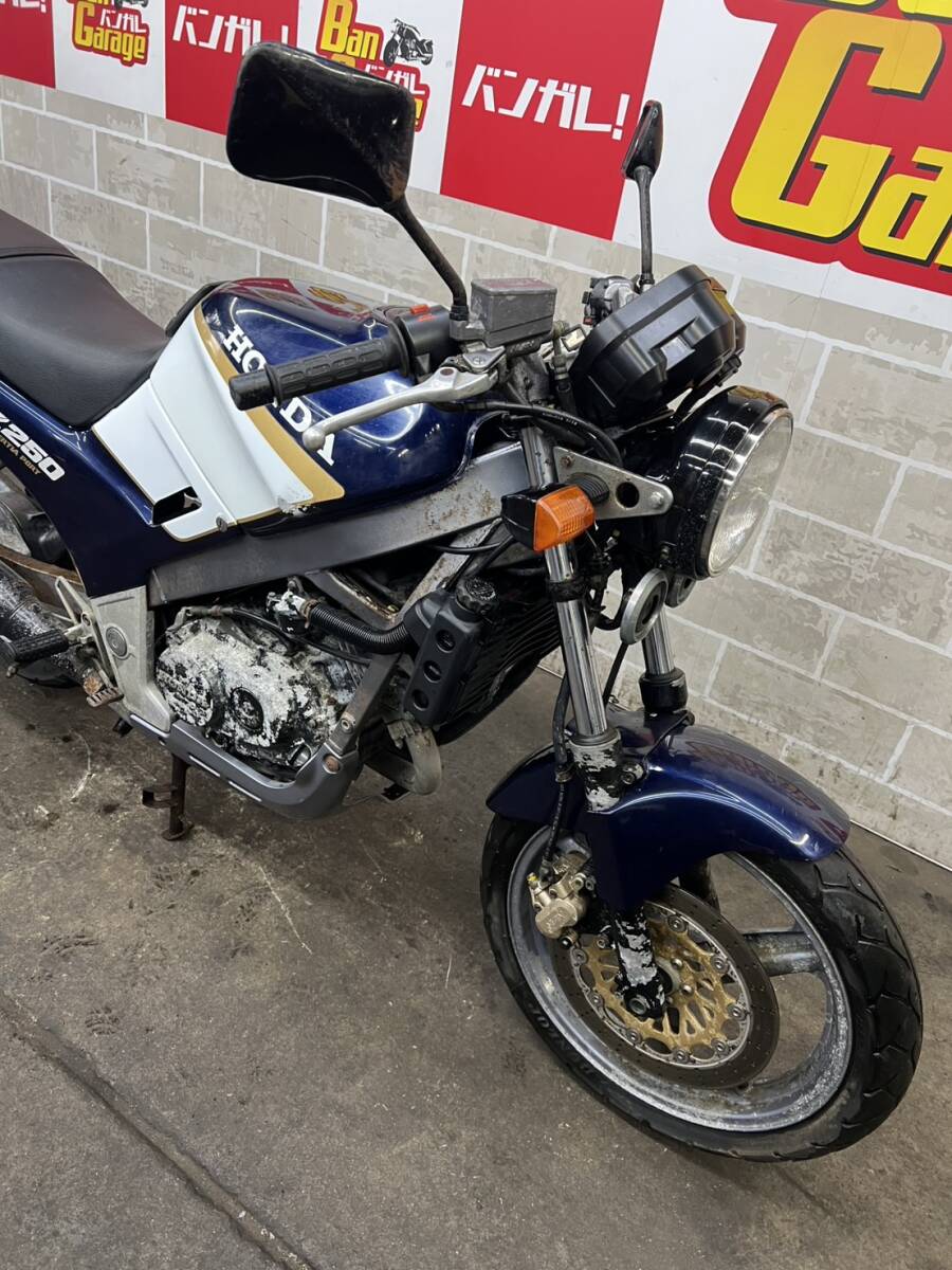 HONDA ホンダ VTZ250 MC15 書類無し 場内走行確認済み 始動動画有り 売り切り 未整備 現状車 バンガレ_画像7