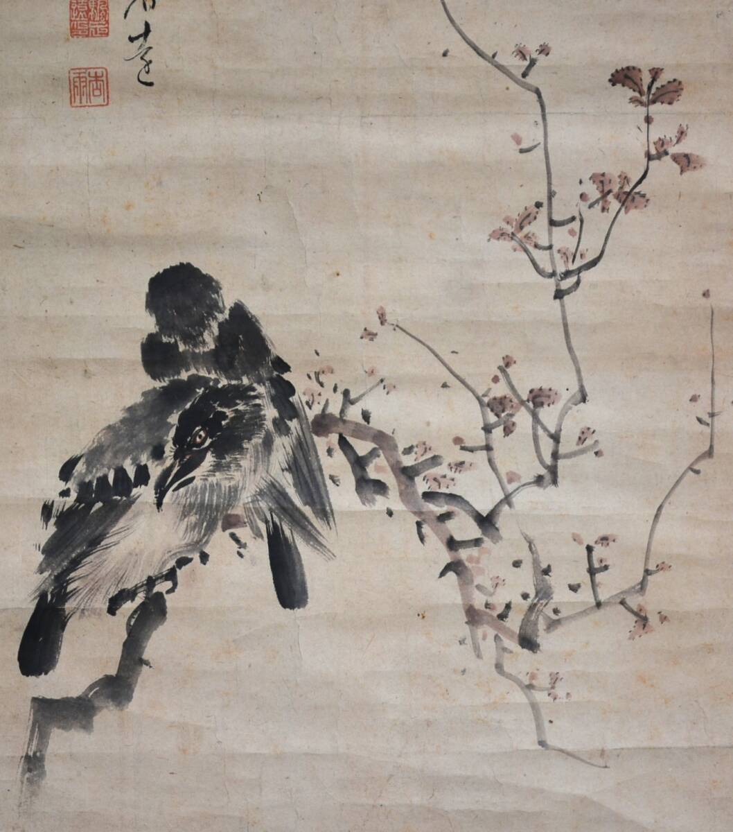 【模写】 47◆初荷です ◆掛軸 帆足杏雨 花鳥図 紙本 小品 ◆師は田能村竹田 大分県大分市_画像7