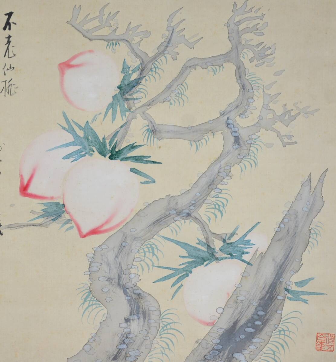 62◆初荷です ◆掛軸 溝辺有巣 設色 「不老仙桃」 真作 絹本 ◆師は福田平八郎 少しシミあり 横物_画像6