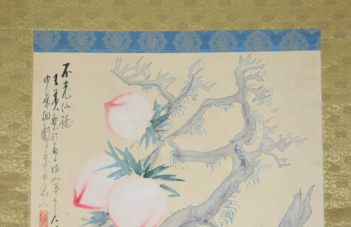 62◆初荷です ◆掛軸 溝辺有巣 設色 「不老仙桃」 真作 絹本 ◆師は福田平八郎 少しシミあり 横物_画像3