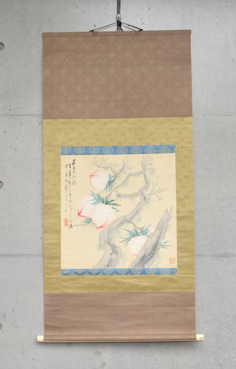 62◆初荷です ◆掛軸 溝辺有巣 設色 「不老仙桃」 真作 絹本 ◆師は福田平八郎 少しシミあり 横物_画像1