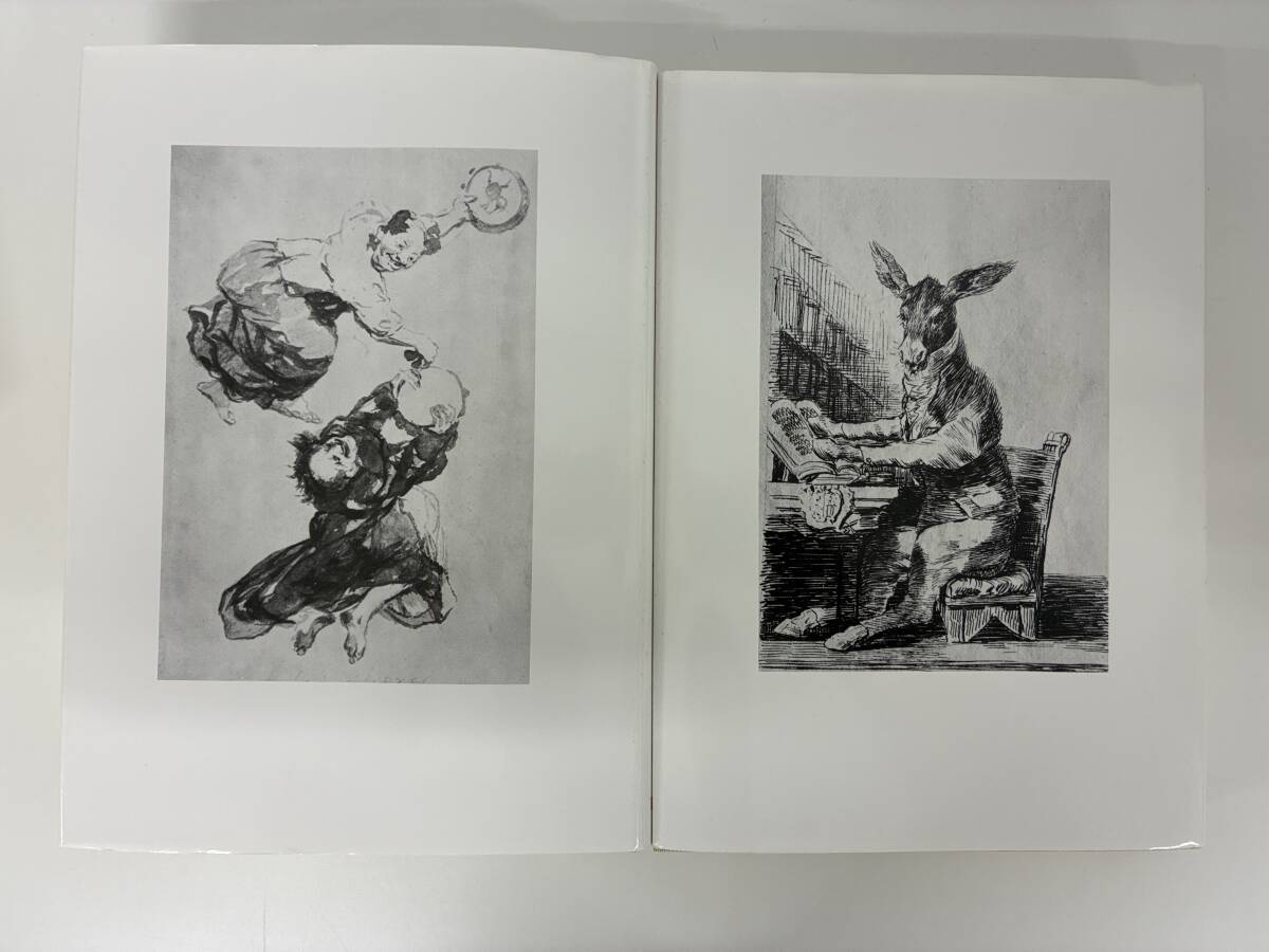 ⑨C34h◆ゴヤ全素描　2冊セット◆岩波書店　著：ピエール・ガッシエ　芸術　美術　画集　絵画　デッサン　1980年6月25日発行　外箱入り_画像2