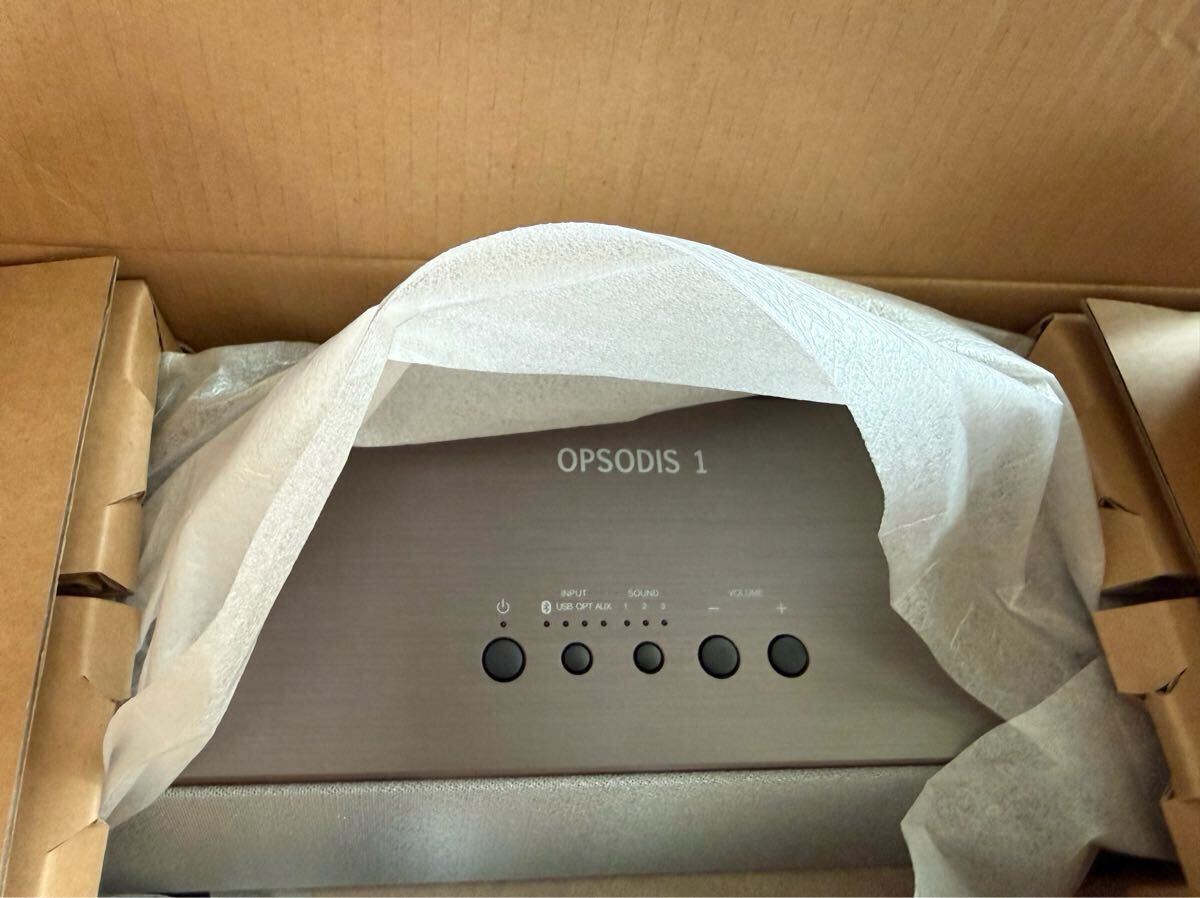 OPSODIS 1 鹿島建設 オプソーディス1_画像1