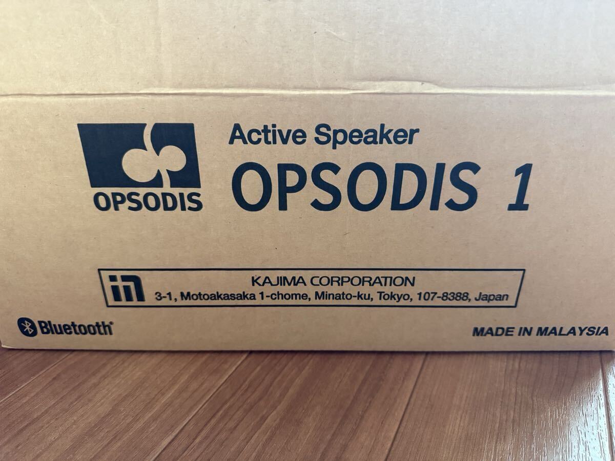 OPSODIS 1 鹿島建設 オプソーディス1_画像2