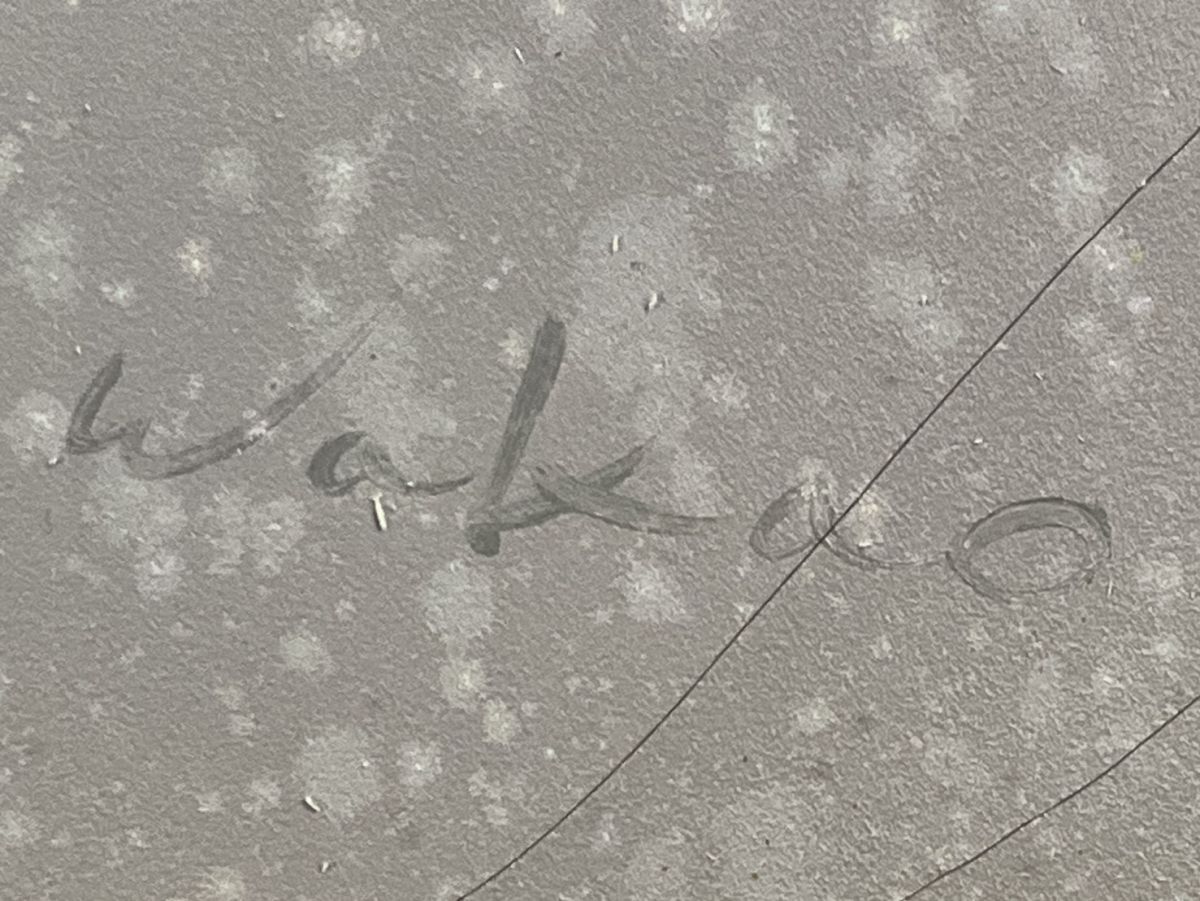 真作■油彩■若尾和呂■『遠い日』■20P大作 幻想女性図逸品 ■幻想派人気画家 膜面描法確立 幸運の絵画　2a_画像3