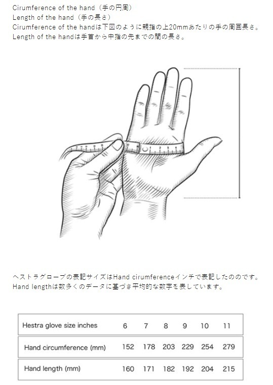 26HESTRA ERGO GRIP ACTIVE　Color:NAVY/NATURAL BROWN　Size:8　定価￥16500_画像2