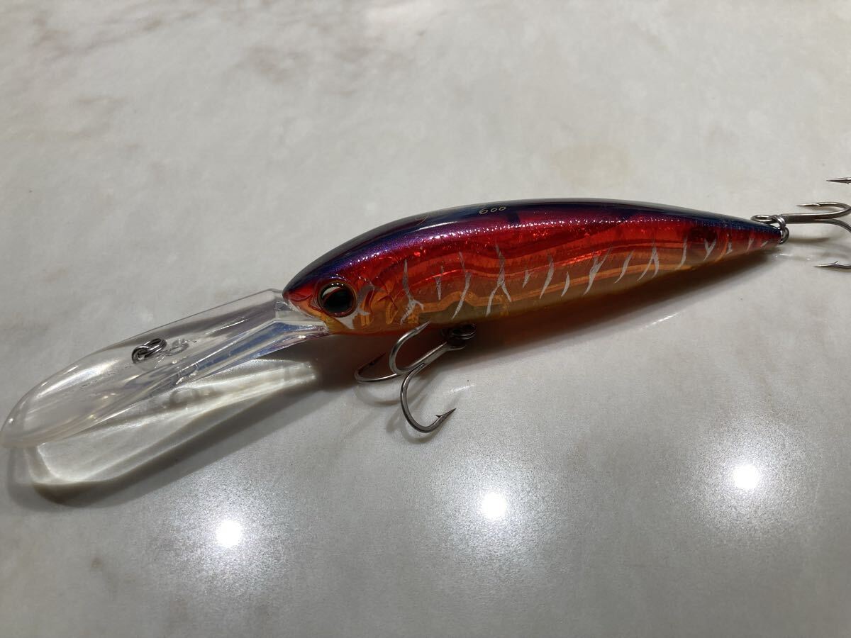 ゴールドディガー エバーグリーン Gold Digger Evergreen_画像1