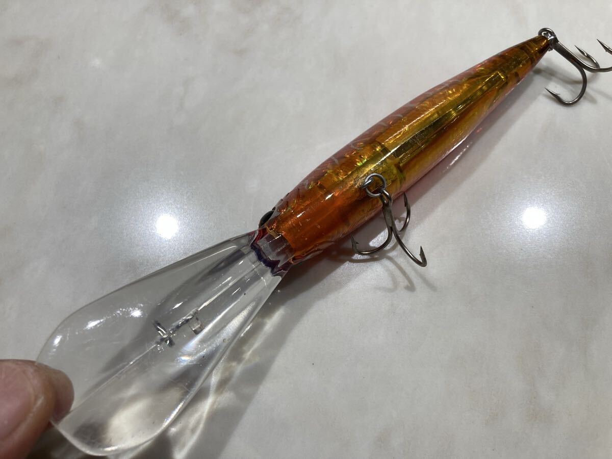 ゴールドディガー エバーグリーン Gold Digger Evergreen_画像3