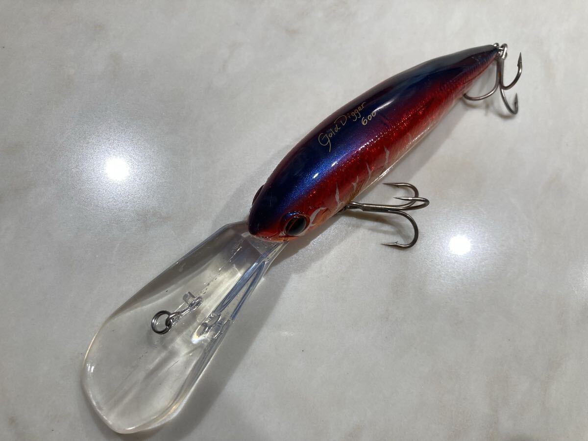 ゴールドディガー エバーグリーン Gold Digger Evergreen_画像4