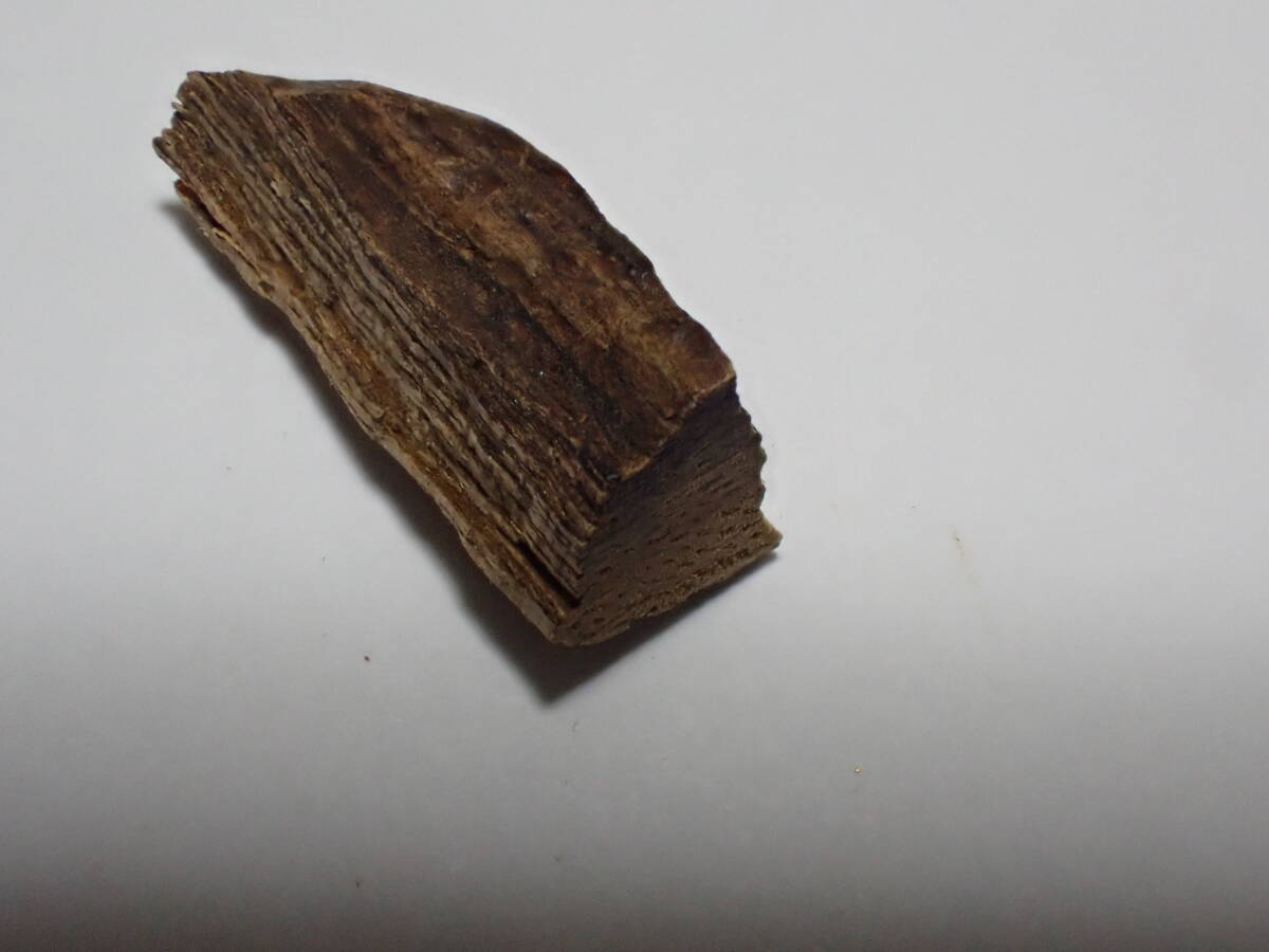 古渡命銘木 東山院勅銘 「常盤木」 香木 六国五味 0.23g *香道 茶道 お香 お線香 香道具*_画像7