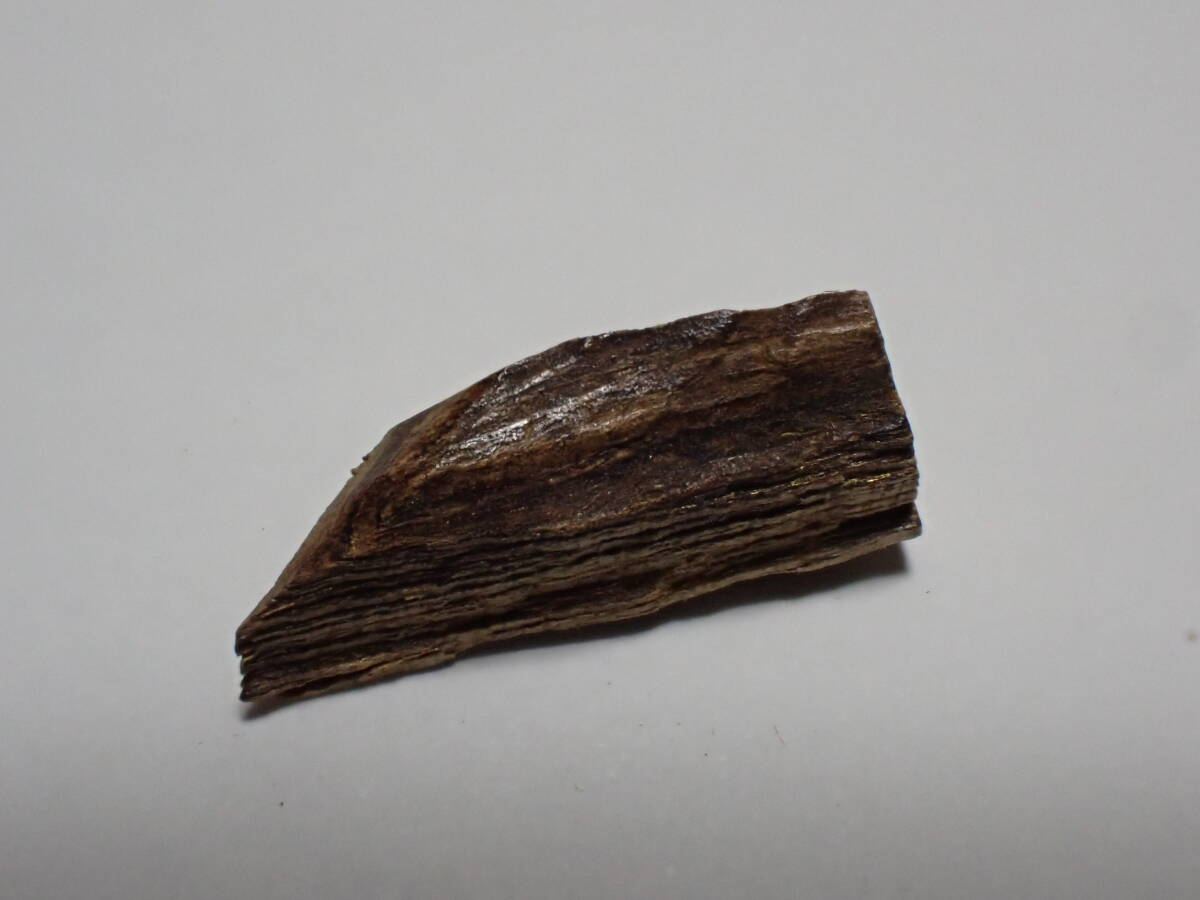 古渡命銘木 東山院勅銘 「常盤木」 香木 六国五味 0.23g *香道 茶道 お香 お線香 香道具*_画像4