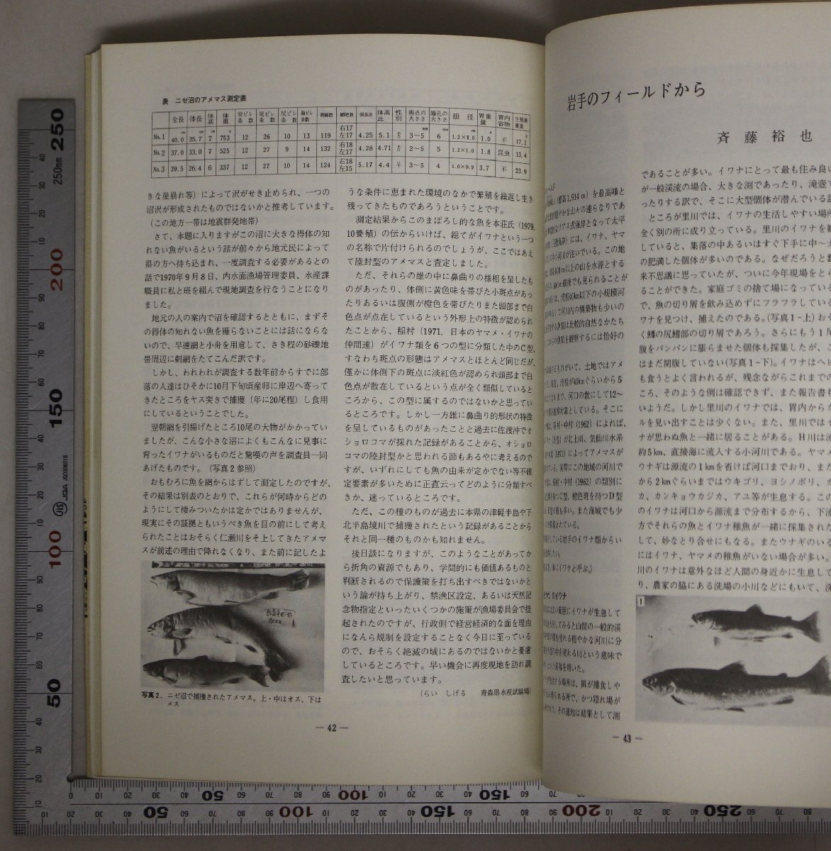 機関誌『財団法人淡水魚保護協会機関誌7冊セット 「淡水魚」創刊号～第5号+増刊2冊』青泉社 補足:イワナ特集/ヤマメ・アマゴ特集/琵琶湖_画像8