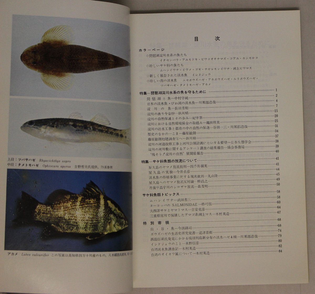機関誌『財団法人淡水魚保護協会機関誌7冊セット 「淡水魚」創刊号～第5号+増刊2冊』青泉社 補足:イワナ特集/ヤマメ・アマゴ特集/琵琶湖_画像5