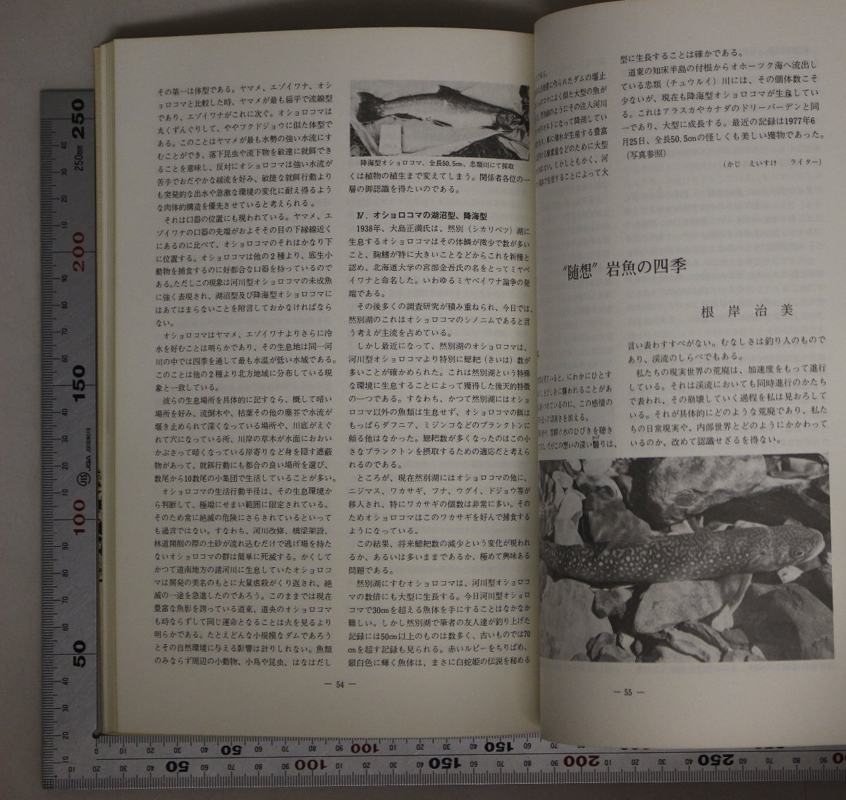 機関誌『財団法人淡水魚保護協会機関誌7冊セット 「淡水魚」創刊号～第5号+増刊2冊』青泉社 補足:イワナ特集/ヤマメ・アマゴ特集/琵琶湖_画像9