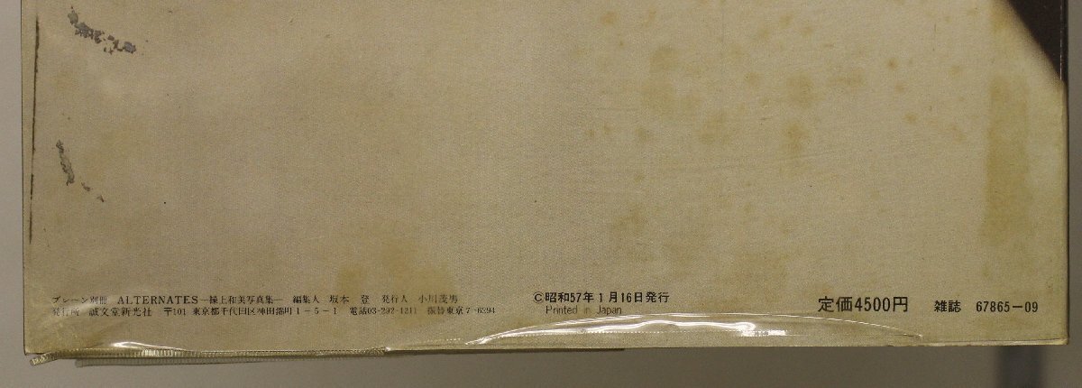 写真集『ALTERNATES 操上和美写真集 プレーン別冊』誠文堂新光社 補足:透明になってしまった時間たちへ僕は時間意識で撮るキャメル_画像9