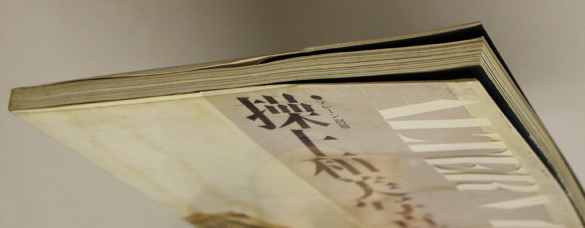 写真集『ALTERNATES 操上和美写真集 プレーン別冊』誠文堂新光社 補足:透明になってしまった時間たちへ僕は時間意識で撮るキャメル_画像4