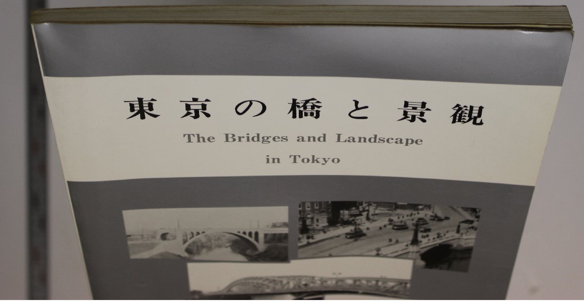 地理『東京の橋と景観』東京都 東京都建設局道路建設部道路橋梁課編集 補足:橋と河川都市文化交通流通橋のデザイン橋の寿命メインテナンス_画像8