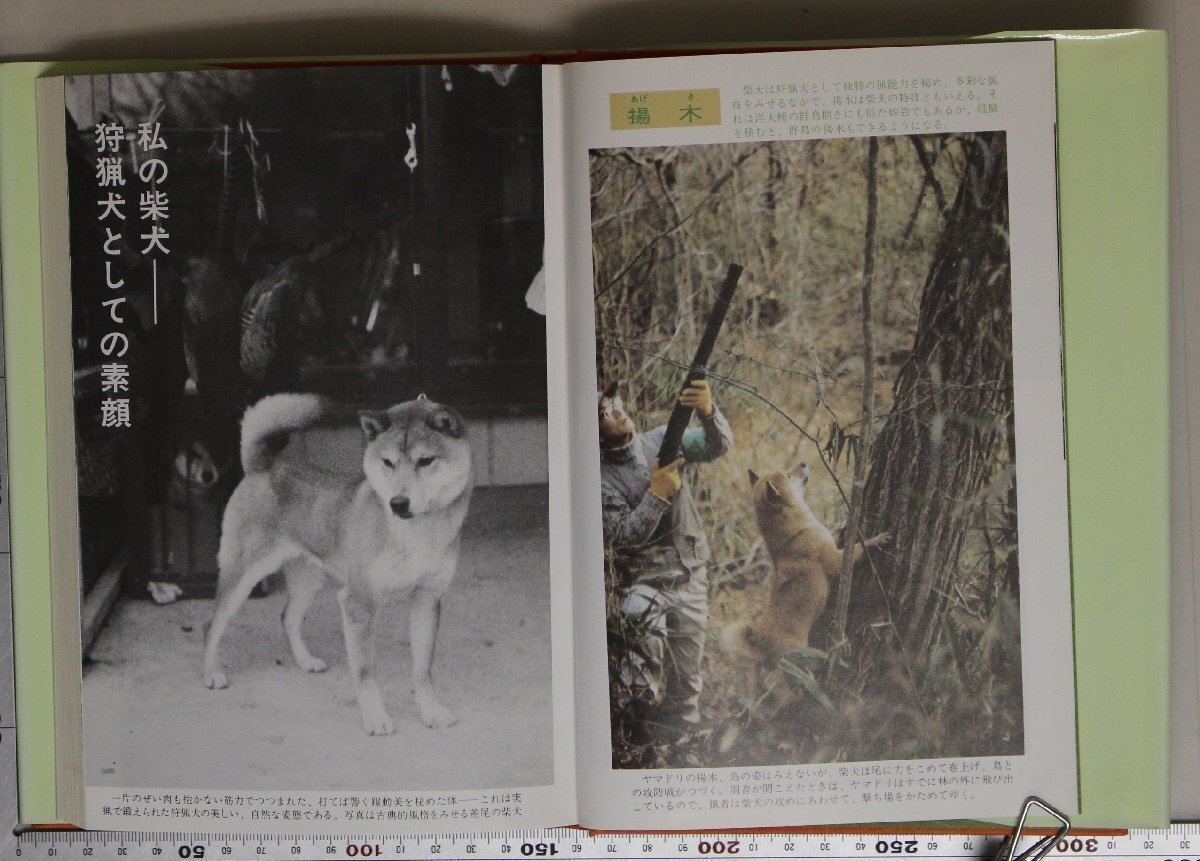  хобби [. собака. s Pal ta образование тренировка закон первый публичный ] бог . длина Saburou работа акционерное общество охота . фирма дополнение :. собака. книга@ качество .... Special качество размножение ... person взлом. основы особый тренировка закон 