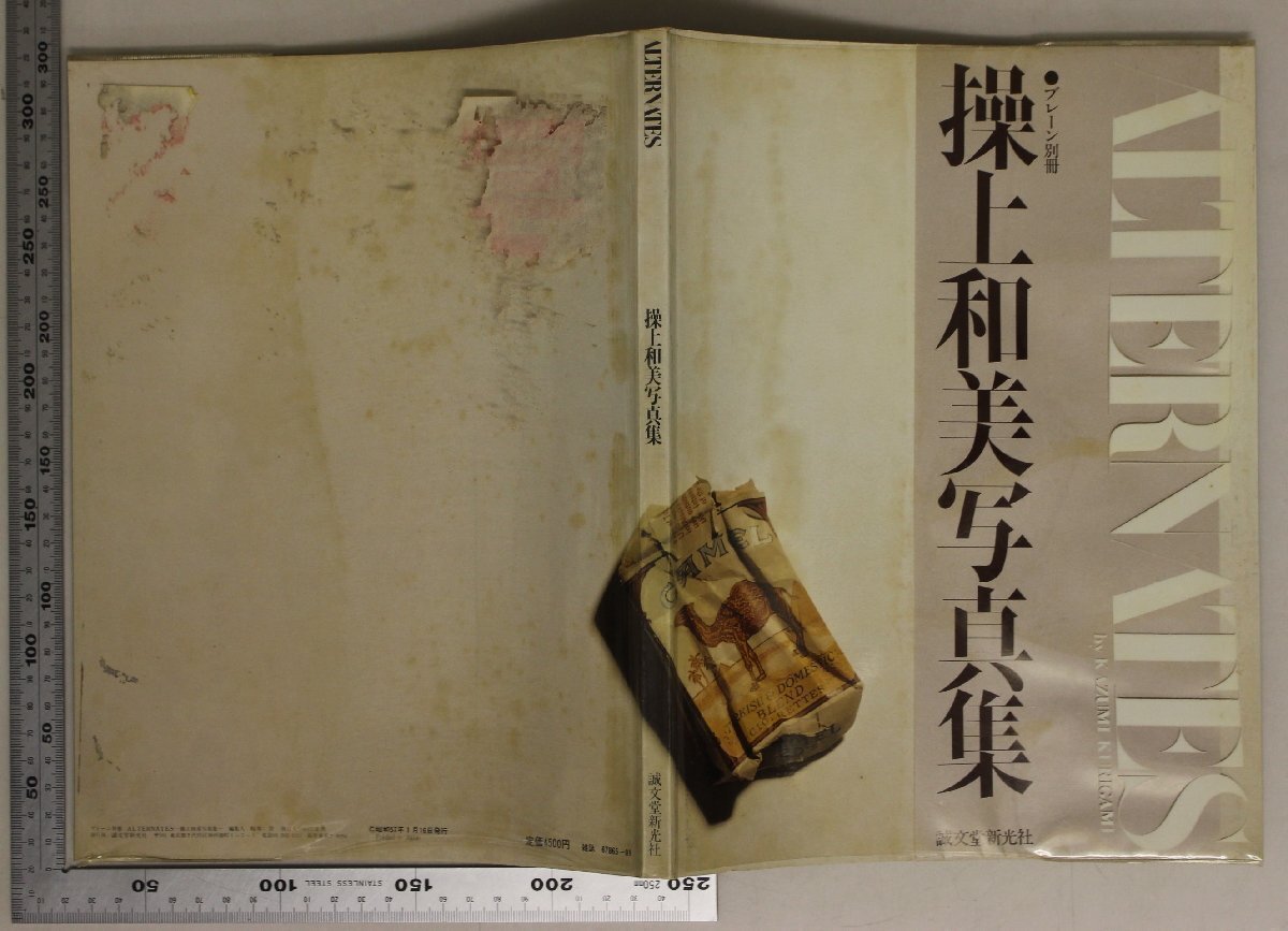 写真集『ALTERNATES 操上和美写真集 プレーン別冊』誠文堂新光社 補足:透明になってしまった時間たちへ僕は時間意識で撮るキャメル_画像3