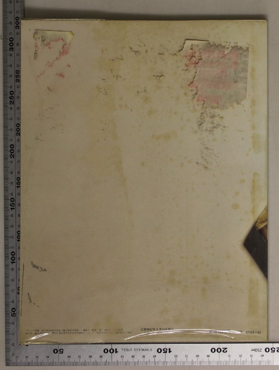 写真集『ALTERNATES 操上和美写真集 プレーン別冊』誠文堂新光社 補足:透明になってしまった時間たちへ僕は時間意識で撮るキャメル_画像2