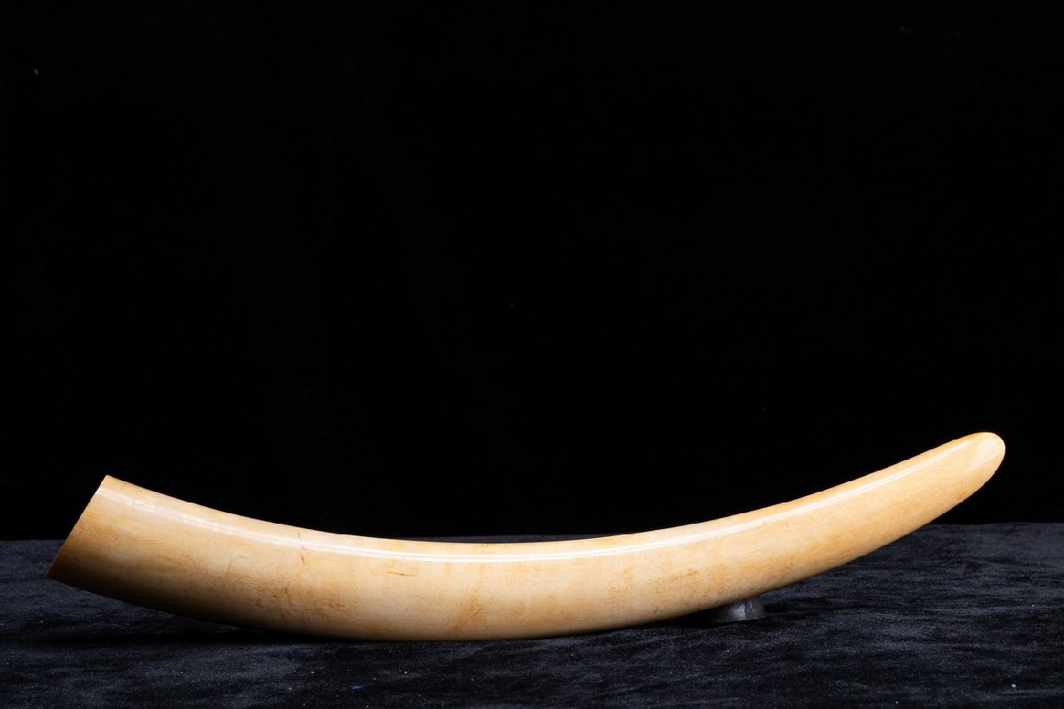 【珍品堂】1円から P04-V20 天然素材 特殊白材 細密彫刻 繊細手描 極上 根付 東洋彫刻 置物 縁起物 希少 骨董品 古美術 時代物重910gの画像10