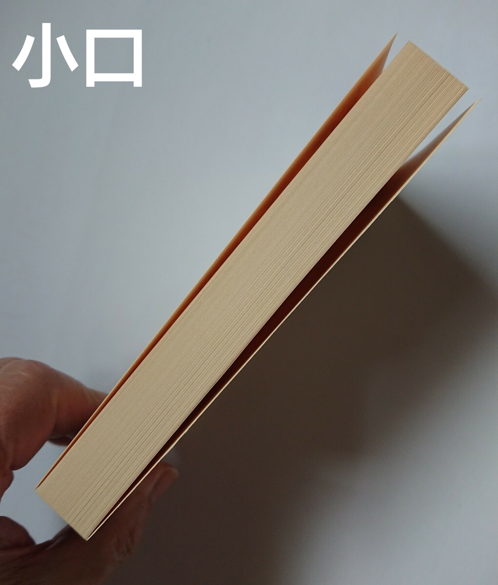 須賀敦子全集 第５巻 イタリアの詩人たち ウンベルト・サバ詩集（翻訳） ミケランジェロの詩と手紙（翻訳） 歌曲のためのナポリ詩集(翻訳)_画像7