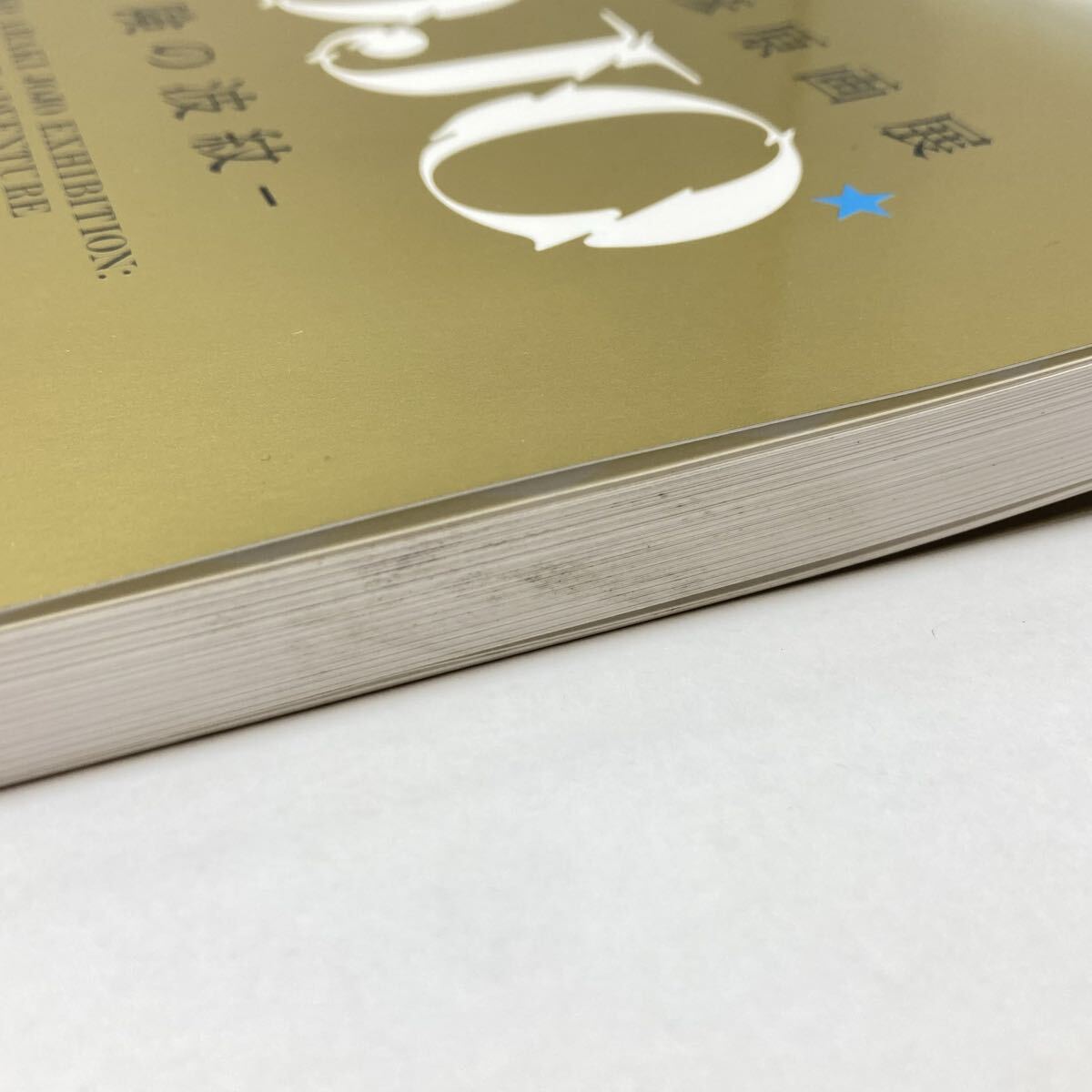 63-17 ジョジョ 図録 荒木飛呂彦原画展 JOJO 冒険の波紋 ジョジョの奇妙な冒険の画像4