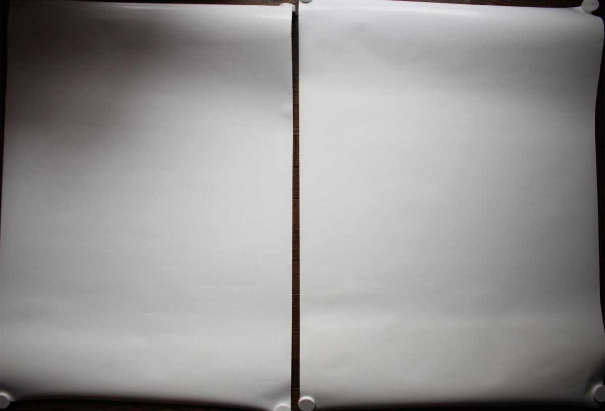 ○ Akiyama rina 秋山莉奈 週刊プレイボーイ ポスター 2枚組 古道具のgplus広島 2510s2_画像2