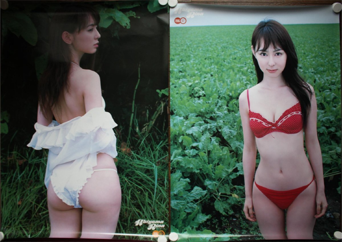 ○ Akiyama rina 秋山莉奈 週刊プレイボーイ ポスター 2枚組 古道具のgplus広島 2510s2_画像1