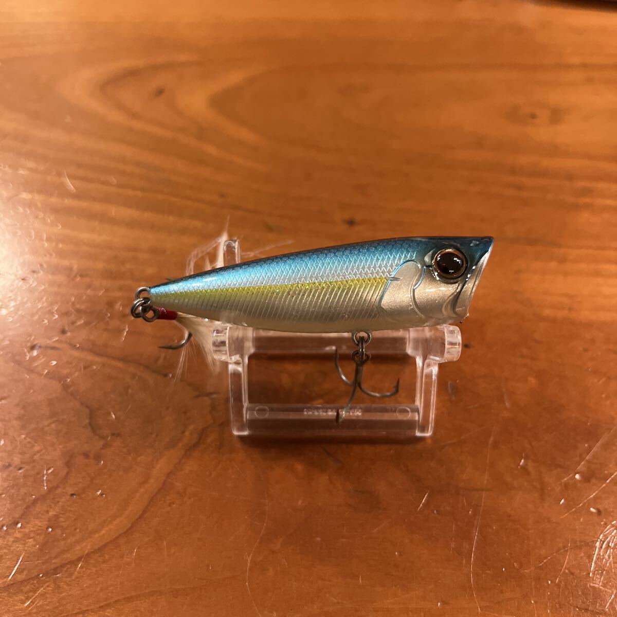 エバーグリーン ワンズバグ_画像4